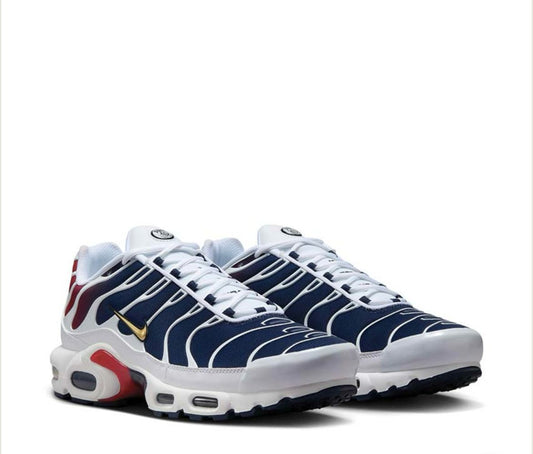 Nike AIR MAX PLUS "PSG"