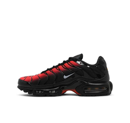 TN Nike Air Max